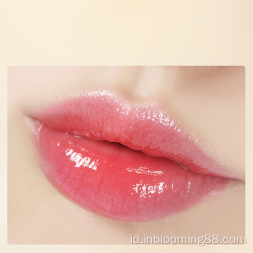 Grosir mini lip gloss berkualitas tinggi untuk makeup